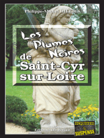 Les Plumes noires de Saint-Cyr-sur-Loire: Emma Choomak, en quête d’identité - Tome 11