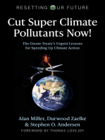 Cut Super Climate Pollutants Now!: The Ozone Treaty’s Urgent Lessons for Speeding Up Climate Action