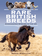 Rare British Breeds: Endangered Species in the UK