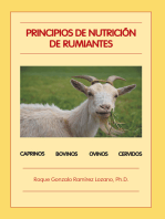 Principios De Nutrición De Rumiantes