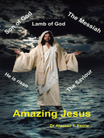 Amazing Jesus