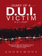 Diary of a D.U.I. Victim: D.U.I. Diary