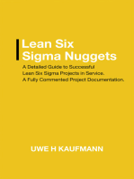 Lean Six Sigma Nuggets: A Fully Commented Project Documentation