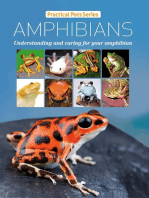 Amphibians: Practical Pet Series