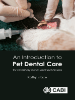 Introduction to Pet Dental Care, An: For Veterinary Nurses and Technicians