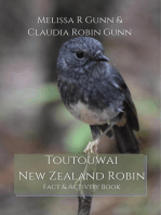 Toutouwai New Zealand Robin