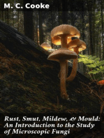 Rust, Smut, Mildew, & Mould: An Introduction to the Study of Microscopic Fungi