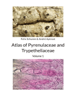 Atlas of Pyrenulaceae and Trypetheliaceae - Volume 1: Lichenized Ascomycota