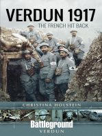 Verdun 1917: The French Hit Back