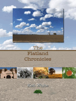 The Flatland Chronicles