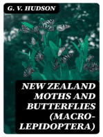 New Zealand Moths and Butterflies (Macro-Lepidoptera)