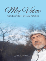 My Voice