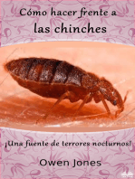 Cómo Hacer Frente A Las Chinches: ¡Una Fuente De Terrores Nocturnos!