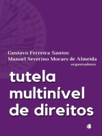 Tutela Multinível De Direitos