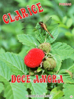 Clarice Doce Amora