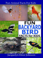 Fun Backyard Bird Facts for Kids