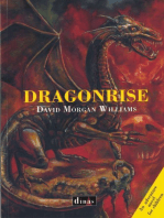 Dragonrise