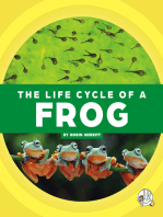 The Life Cycle of a Frog