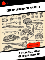 A Pictorial Atlas of Fossil Remains: Illustrated Edition