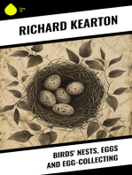 Birds' Nests, Eggs and Egg-Collecting