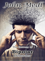 The Entropy of Bipolar Disorder: A Collection of Journal Entries Related to Mental Illness and Bipolar Disorder: Workings of a Bipolar Mind, #4