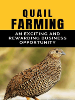 Quail Farming: An Exciting and Rewarding Business Opportunity