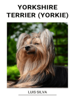 Yorkshire Terrier (Yorkie)