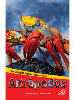 Artrópodos: Arthropods 