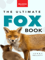 Foxes The Ultimate Fox Book: Learn more about your favorite sly mammal