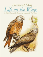 Life on the Wing: A Bird Chronicle from the pages of The Times