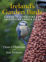 Ireland's Garden Birds: A Guide to Attracting and Identifying Garden Birds