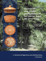 Oxtankah: una ciudad prehispánica en las tierras bajas del área maya: Volumen I. El medio ambiente