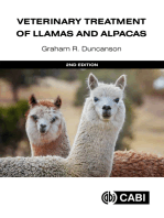 Veterinary Treatment of Llamas and Alpacas