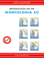 Reflexología del pie - Morfologia Zú: Vol. II