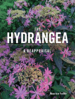 The Hydrangea: A Reappraisal