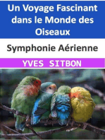 Symphonie Aérienne : Un Voyage Fascinant dans le Monde des Oiseaux