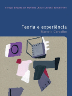 Teoria e experiência