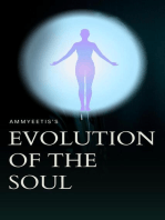 Ammyeetis's Evolution of the Soul