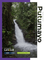 Departamento de Putumayo: Diagnóstico socioeconómico y de producción agropecuaria (2010-2019)