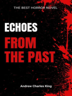 Echoes from the Past: Ghost, #2