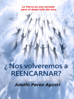 ¿nos Volveremos A Reencarnar?