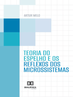 Teoria do espelho e os reflexos dos microssistemas