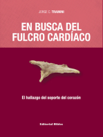 En busca del fulcro cardíaco: El hallazgo del soporte del corazón