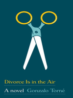 Divorce Is in the Air: A novel