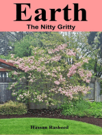 Earth: The Nitty Gritty