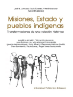 Misiones, Estado y pueblos indígenas