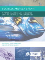 Sea Bass and Sea Bream: A Practical Approach to Disease Control and Health Management