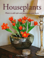 Houseplants: Plants to Add Style and Glamour to Your Home