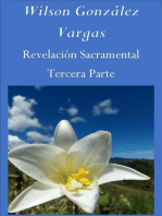 Revelación Sacramental: Teología, #3