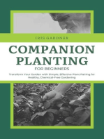 Companion Planting for Beginners: Transform Your Garden with Simple, Effective Plant Pairing for Healthy, Chemical-Free Gardening